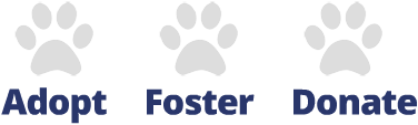 Adopt. Foster. Donate.