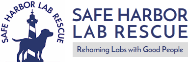 Safe Harbor Lab Rescue Logo